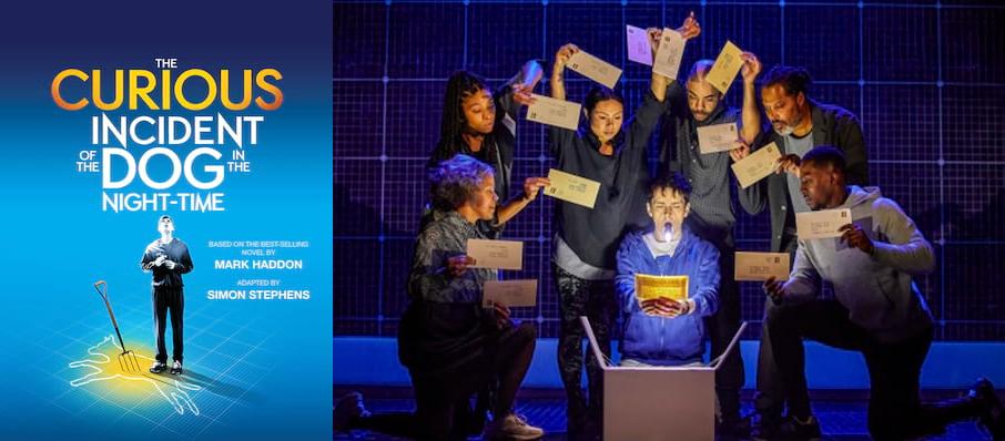 The Curious Incident of the Dog in the Night-Time at Bristol Hippodrome